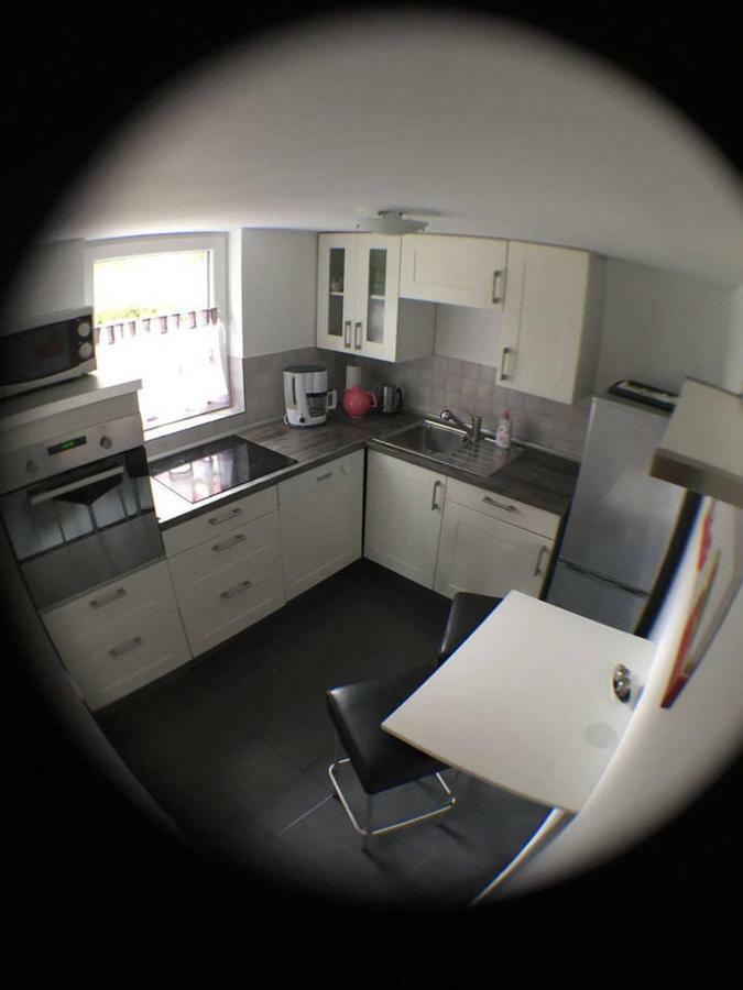 Haus Lindenteichblick Apartment Atzenhausen Bagian luar foto